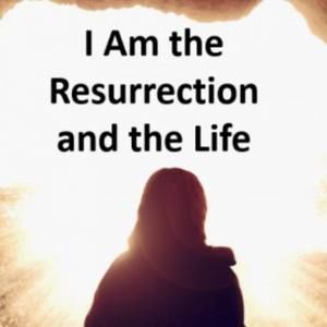 Meet your Posher, Liz